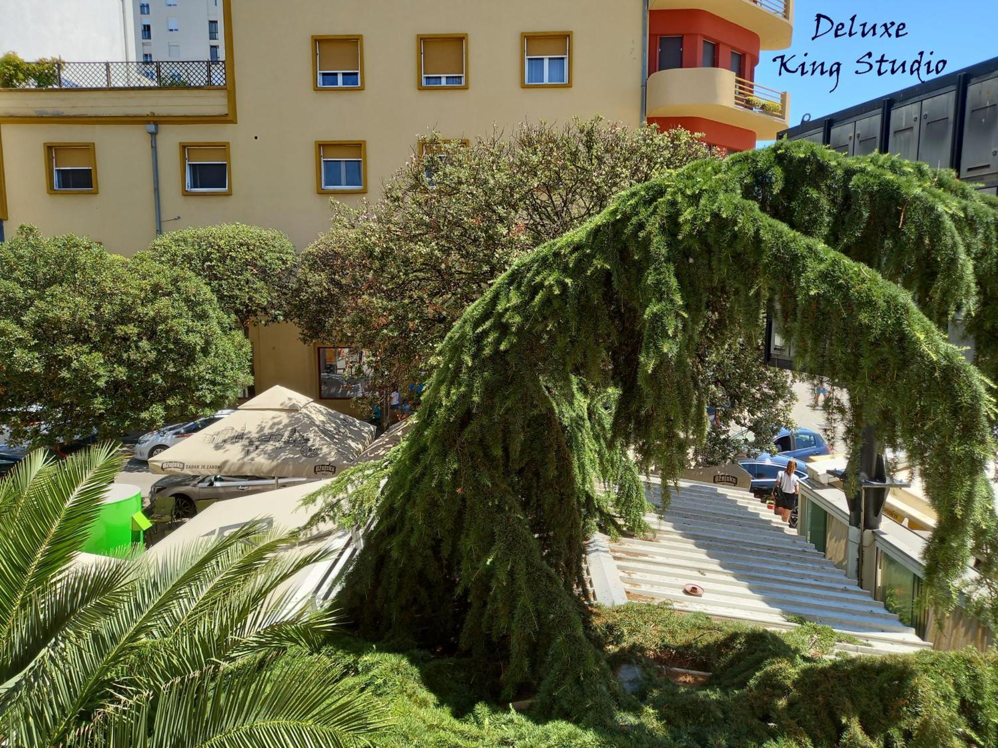 Summertime Apartments Zadar Exterior photo